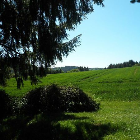 Blick In Die Suedeifel Biersdorf Zewnętrze zdjęcie