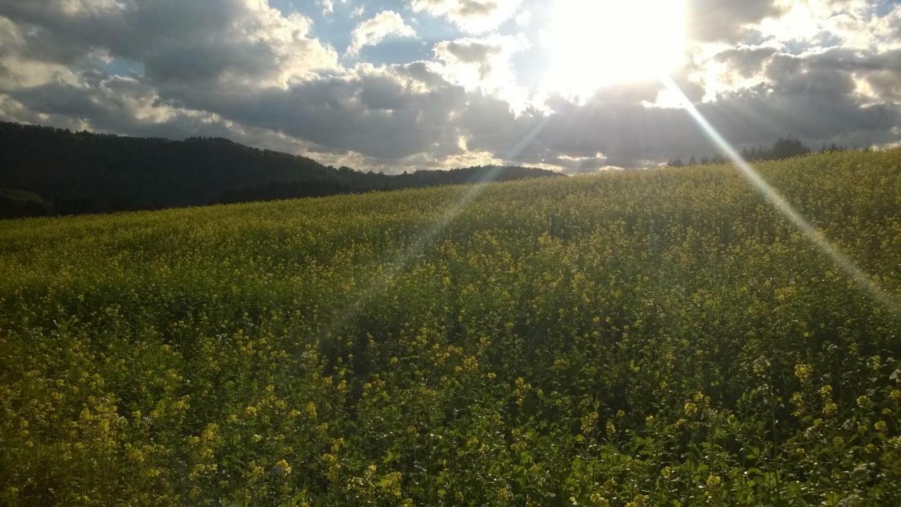 Blick In Die Suedeifel Biersdorf Zewnętrze zdjęcie